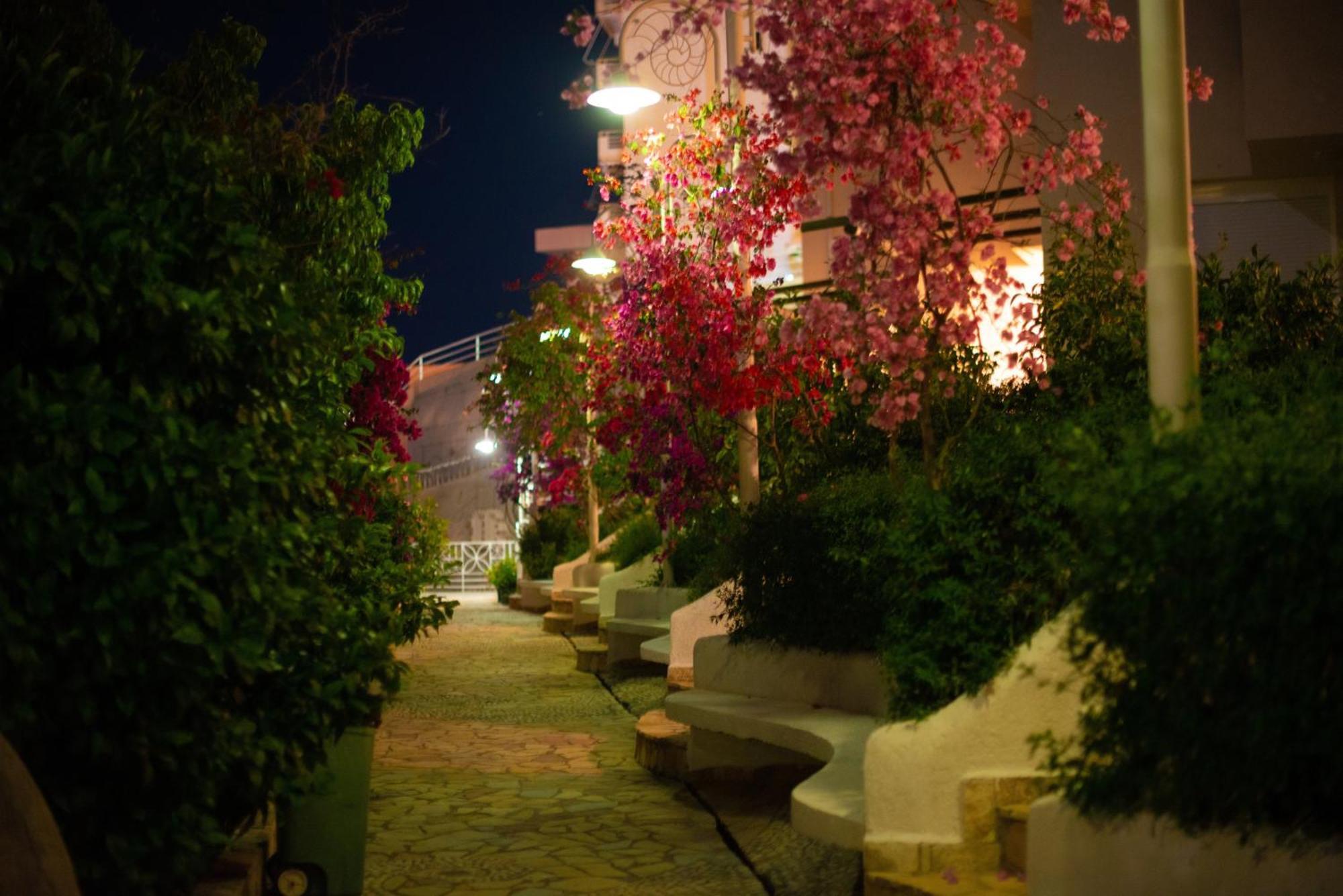 Apartment Bougainville Bay Sarandë